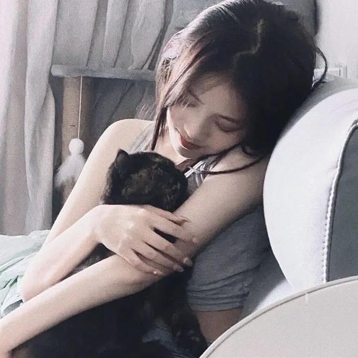 奇波和神奇动物的时代第三季